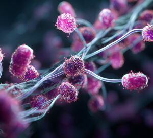 Clostridium-innocuum